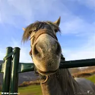 马鲁迪斯客场告捷,净胜对手 马鲁迪斯客场告捷,净胜对手